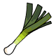 Leek